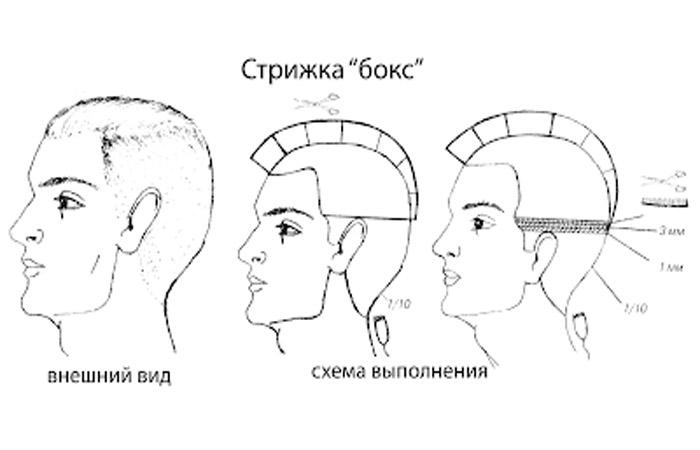ТОП-12 мужских стрижек «бокс» (20+ фото): особенности и виды прически, кому подойдет и чем отличается от полубокса
