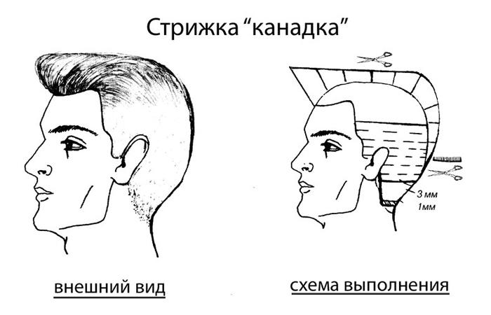 Мужские спортивные стрижки (90+ фото): обзор коротких молодежных причесок с выбритыми боками, красивые примеры и названия
