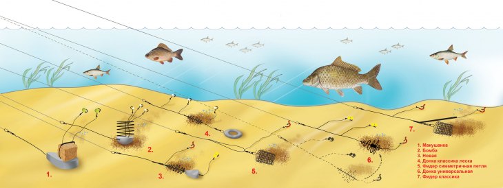 Донная снасть (50+ фото): чем донка отличается от фидеров, ход для донного лова, какую выбрать и как пользоваться
