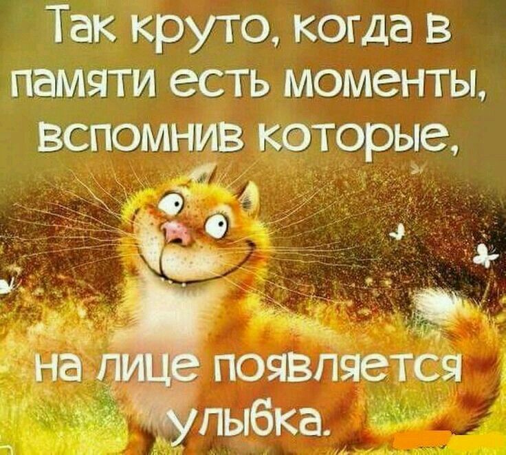 265+ коротких и красивых пожелания Доброго Дня