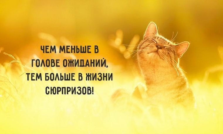 265+ коротких и красивых пожелания Доброго Дня