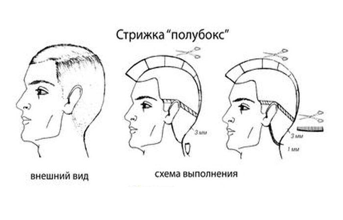 Мужские стрижки полубокс (70+ фото): на короткие волосы с челкой и без, вся техника выполнения пошагово машинкой